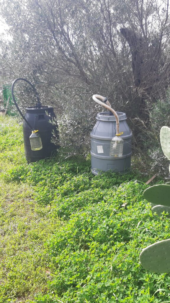 Biofertilizzante naturale
