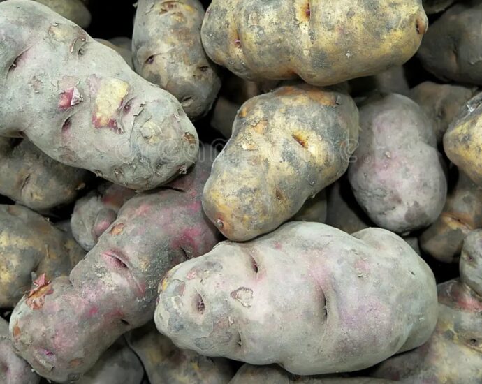 Patate a pasta viola (Perù)
