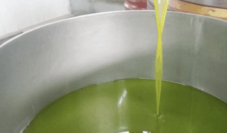 Olio Terra d'Otranto