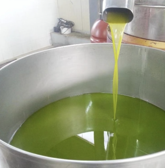 Olio Terra d'Otranto
