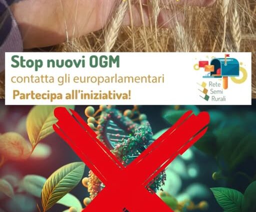 Simenza 29-05-2025