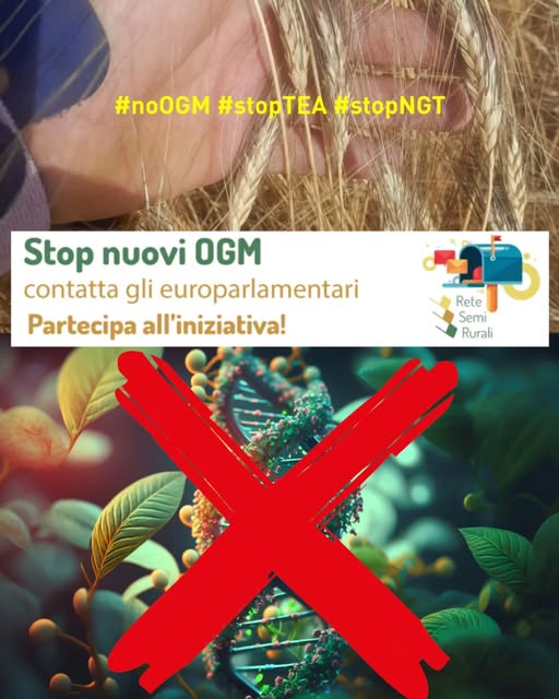 Gli agricoltori dicono stop a nuovi OGM, TEA e NGT ed invitano a contattate gli europarlamentari per tutelare la Biodiversità e Agricoltura Biologica